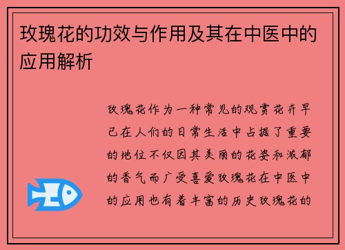 玫瑰花的功效与作用及其在中医中的应用解析
